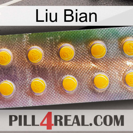 Liu Bian new11